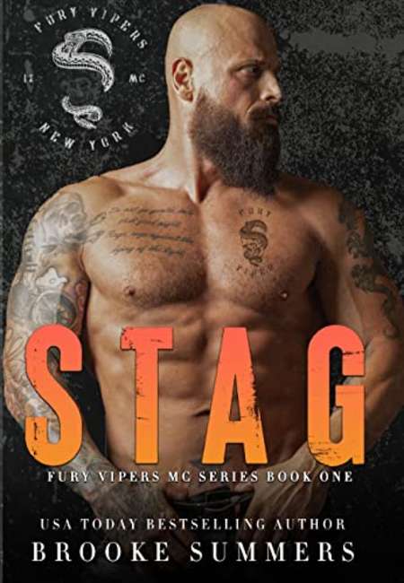 Stag book cover